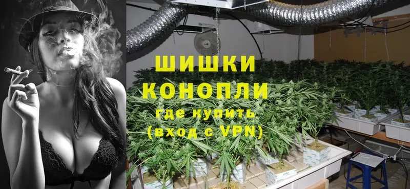 Бошки Шишки OG Kush  сайты даркнета официальный сайт  Сергач  закладки 